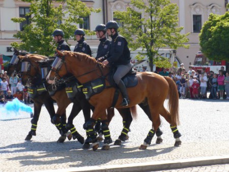 Bezpečnost ve městě